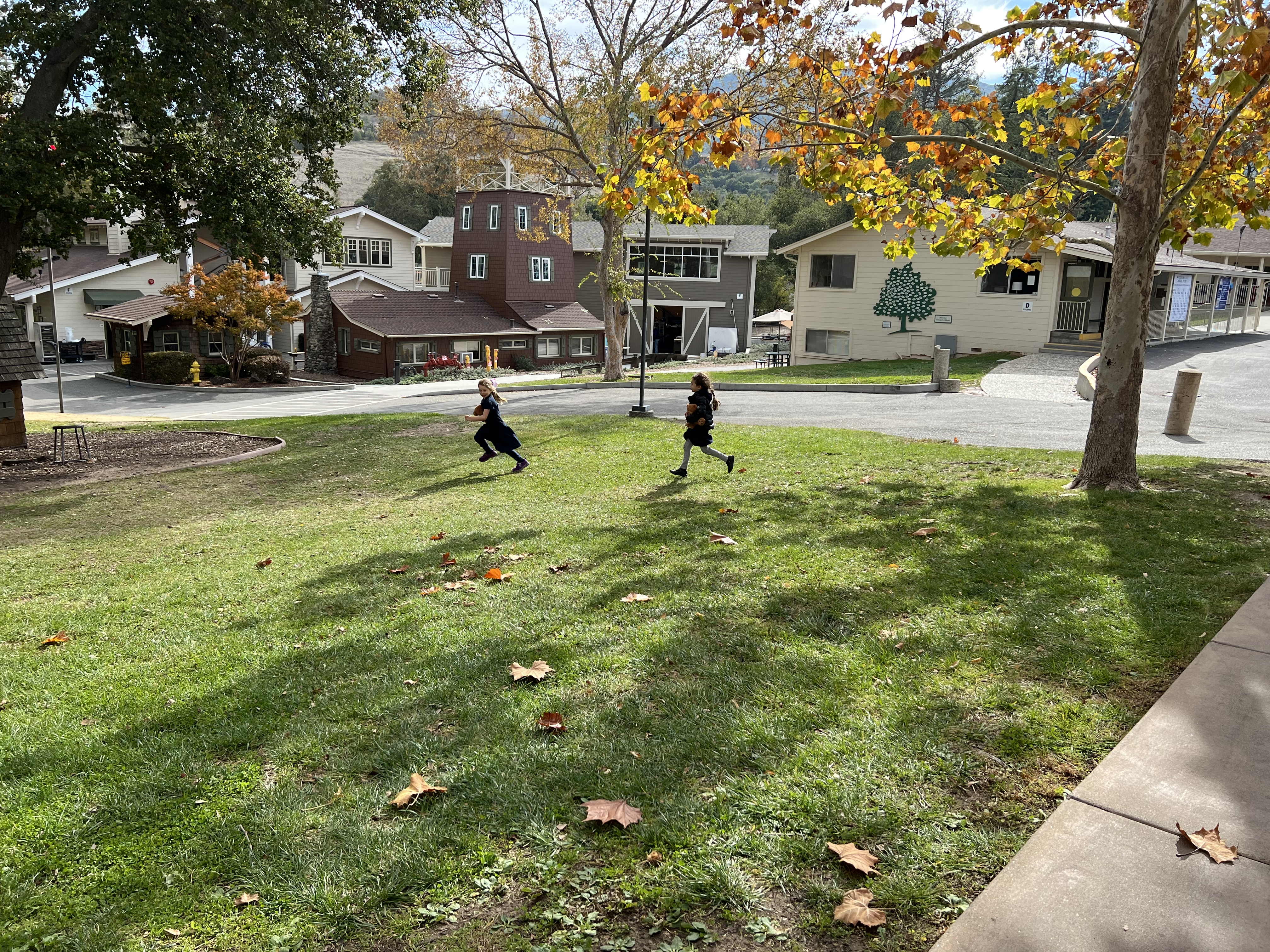 The Power Of The Playground