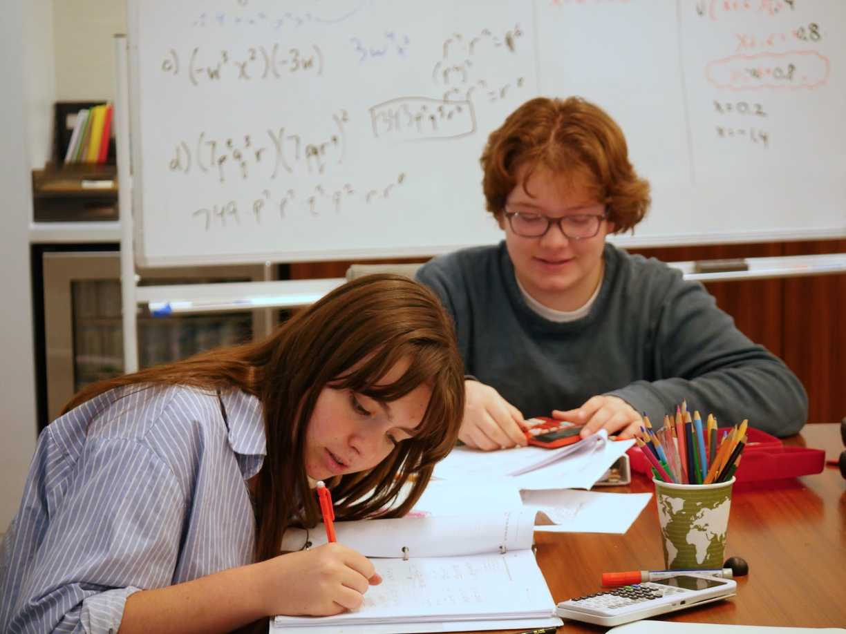 The (Log)arithm is Gonna Get You: 9th Grade Mathematicians Build Math Fluency