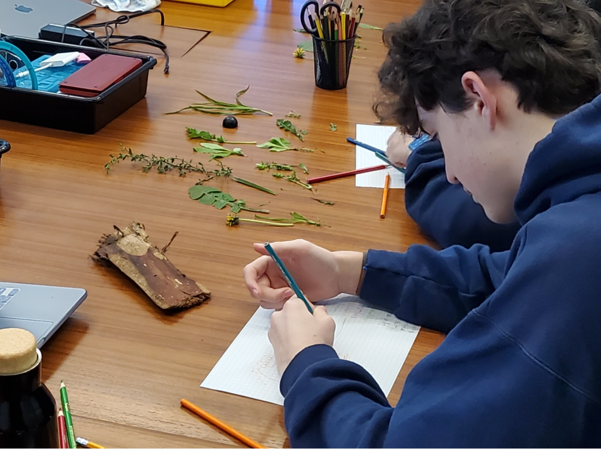 Meaning on the Median: Studying Urban Biodiversity in 9th Grade Science